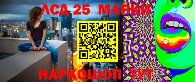 стаф Будённовск