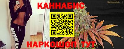 стаф Будённовск