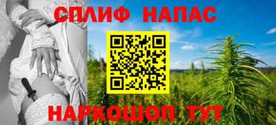 гашик Бузулук
